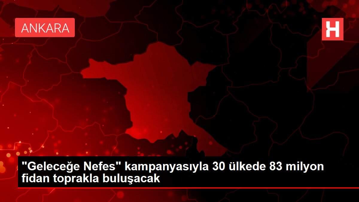 'Geleceğe Nefes' kampanyasıyla 30 ülkede 83 milyon fidan toprakla buluşacak