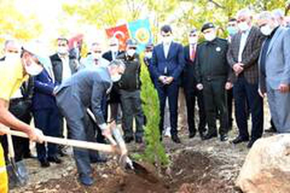 Adıyaman\'da 82 bin ağaç fidan dikildi