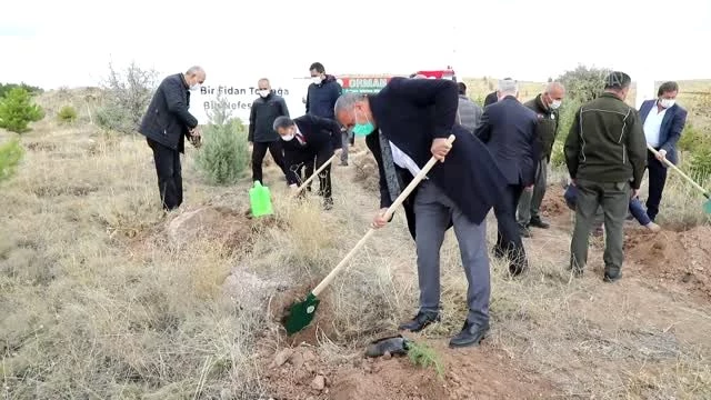 Çubuk'ta Geleceğe Nefes Ol kampanyasıyla binlerce fidan toprakla buluştu