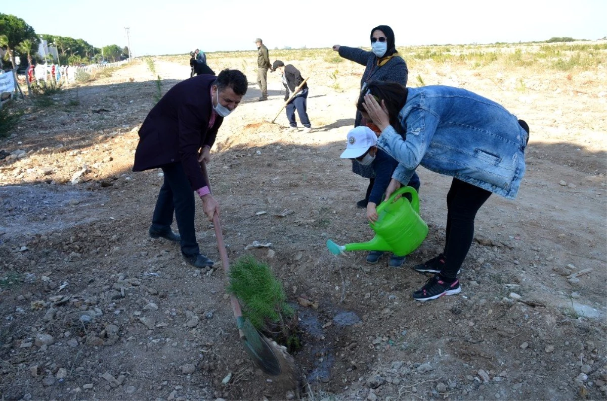 Son dakika haberleri... Didim\'de ağaçlandırma seferberliğine destek olundu