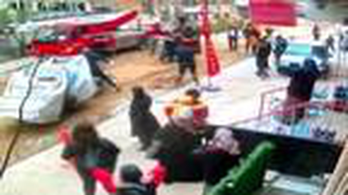 Son dakika... Esenyurt\'ta tekmeli yumruklu ağaç kavgası kamerada