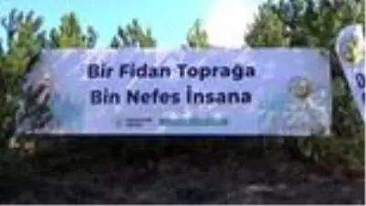son dakika