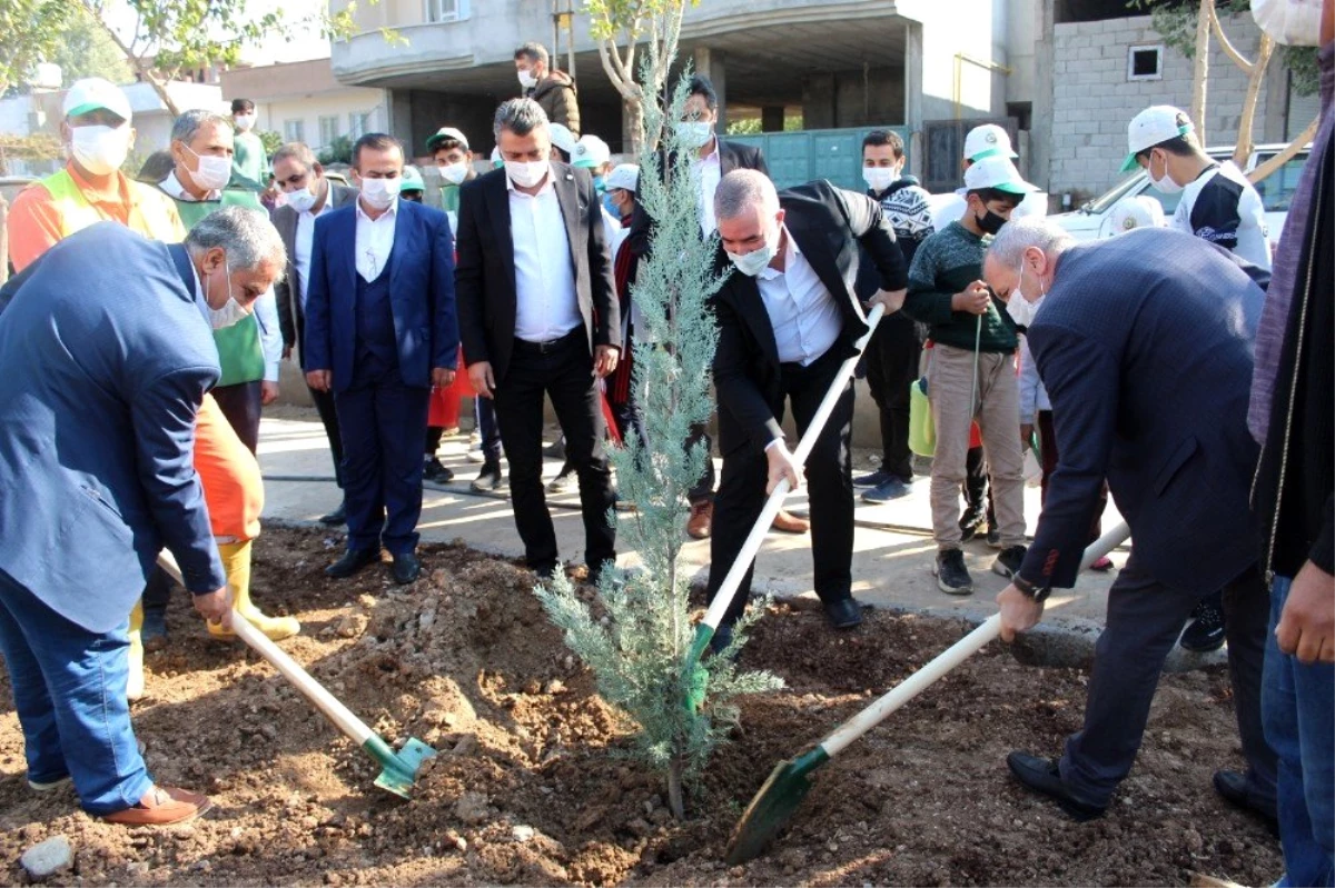 Kahta belediyesinden ağaç dikme etkinliği