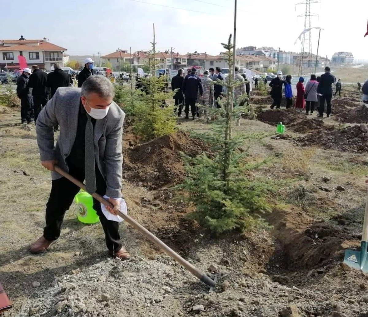 Kütahya il genelinde 241 bin 300 fidan toprakla buluştu