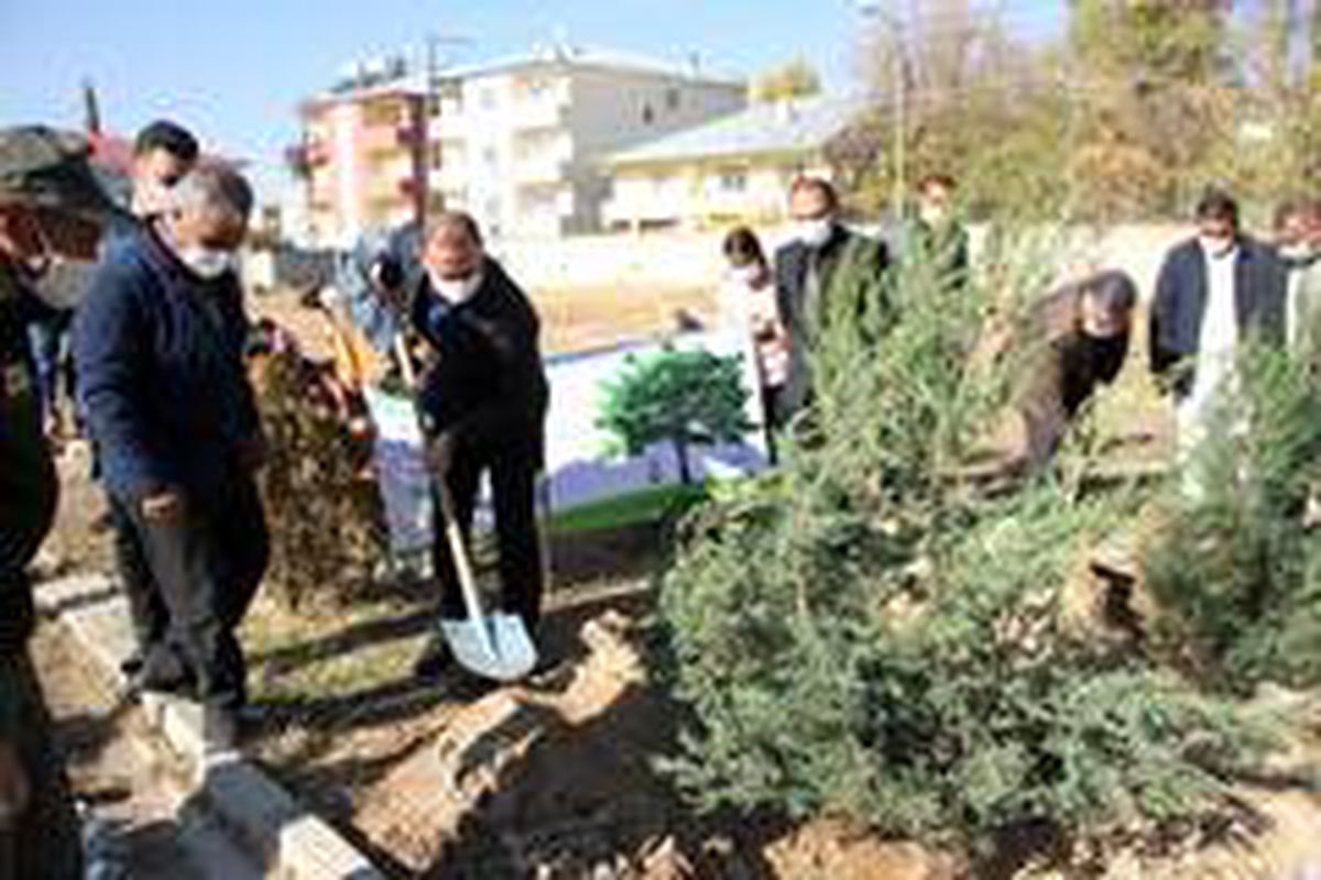 Malazgirt\'te fidan dikimi