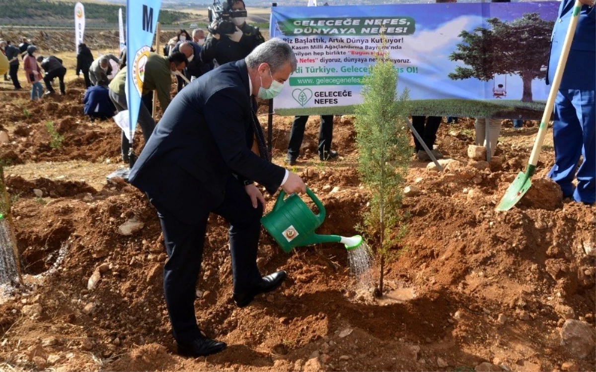 Milli Ağaçlandırma Gününde Fidanlar Toprakla Buluşturuldu