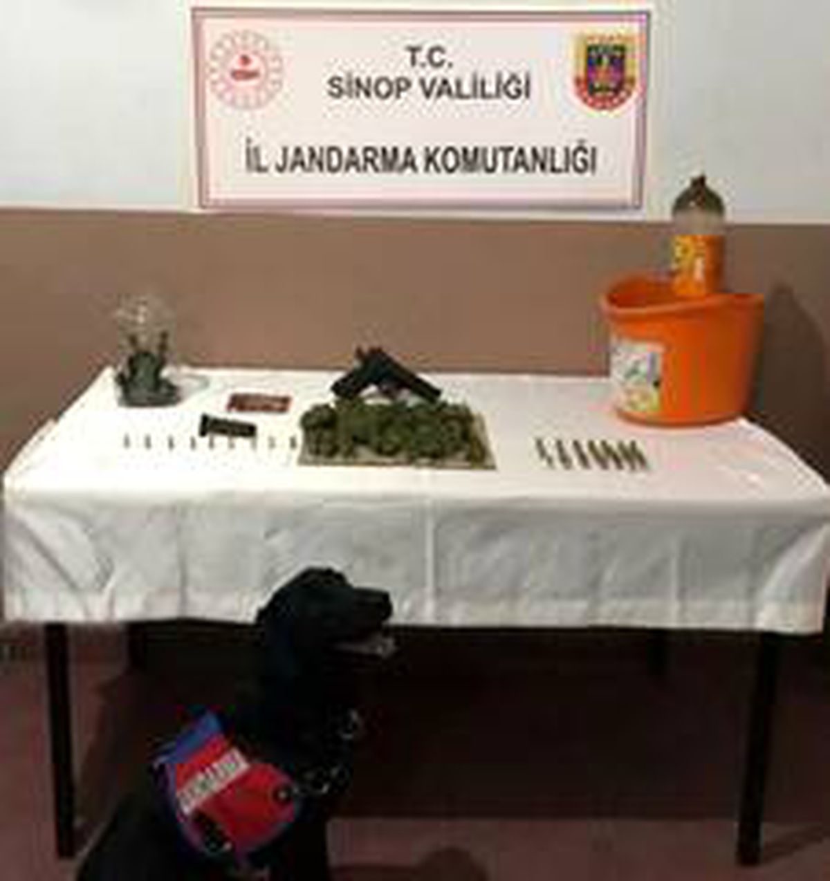 Sinop\'ta uyuşturucu operasyonu
