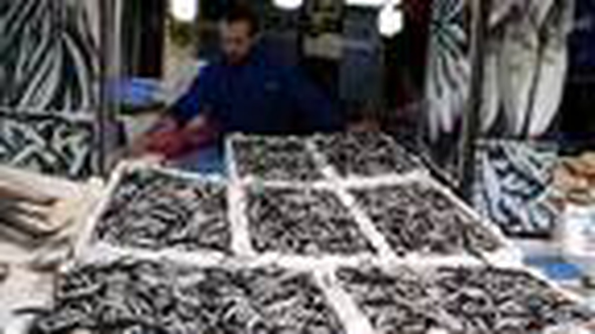 Trabzon\'da tezgahlarda, palamudun yerini hamsi aldı