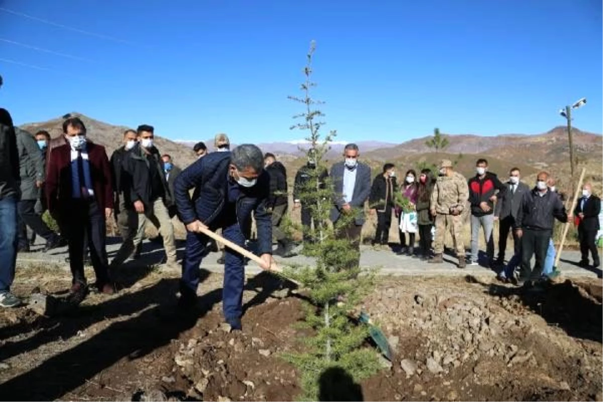 Tunceli\'de 327 bin fidanın dikimine Düzgün Baba Dağ\'ında başladı