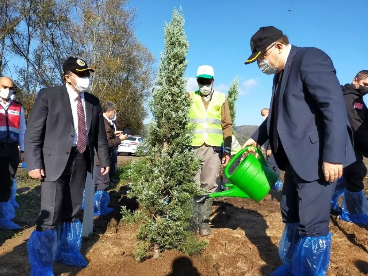 Vali Tutulmaz, "Geleceğe Nefes" projesinde Zonguldak\'ta ilk fidanını dikti