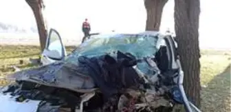 Son dakika haberi: Ambulans helikopter ağaca çarpan otomobil sürücüsü için havalandı