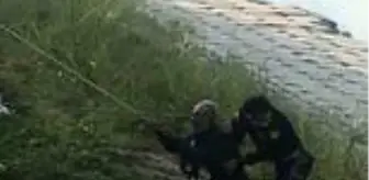 Asi Nehri'ne düşen alkollü adamı itfaiye kurtardı