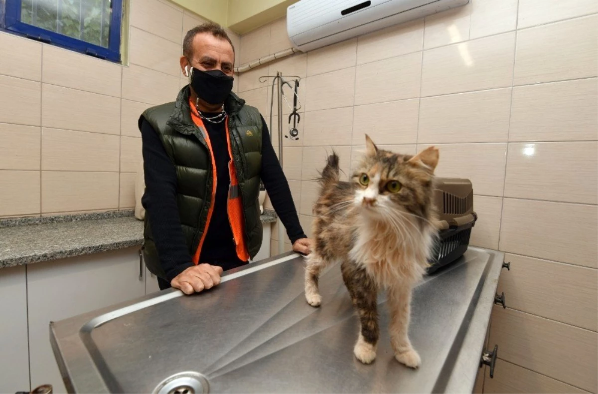 Haluk Levent, İzmir depreminde 90 saat kurtarılan kediyi sahiplendi