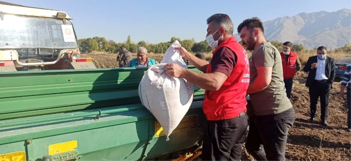 Kahramanmaraş\'ta ata tohumu "Siyez buğdayı"nın deneme ekimi yapıldı