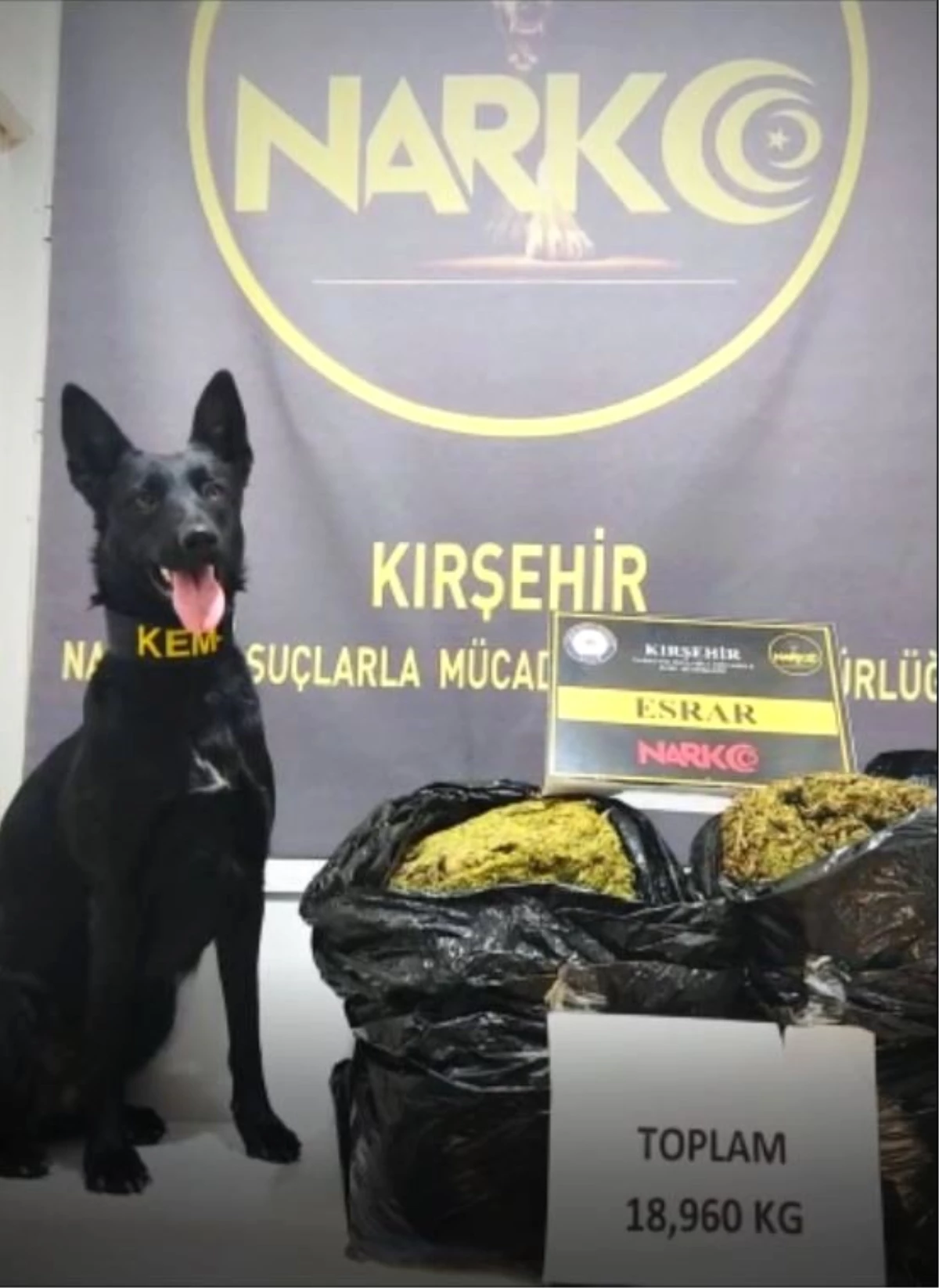 Son dakika haberi | Kırşehir\'de uyuşturucu operasyonu uyuşturucu köpeği 19 kilogram uyuşturucu buldu