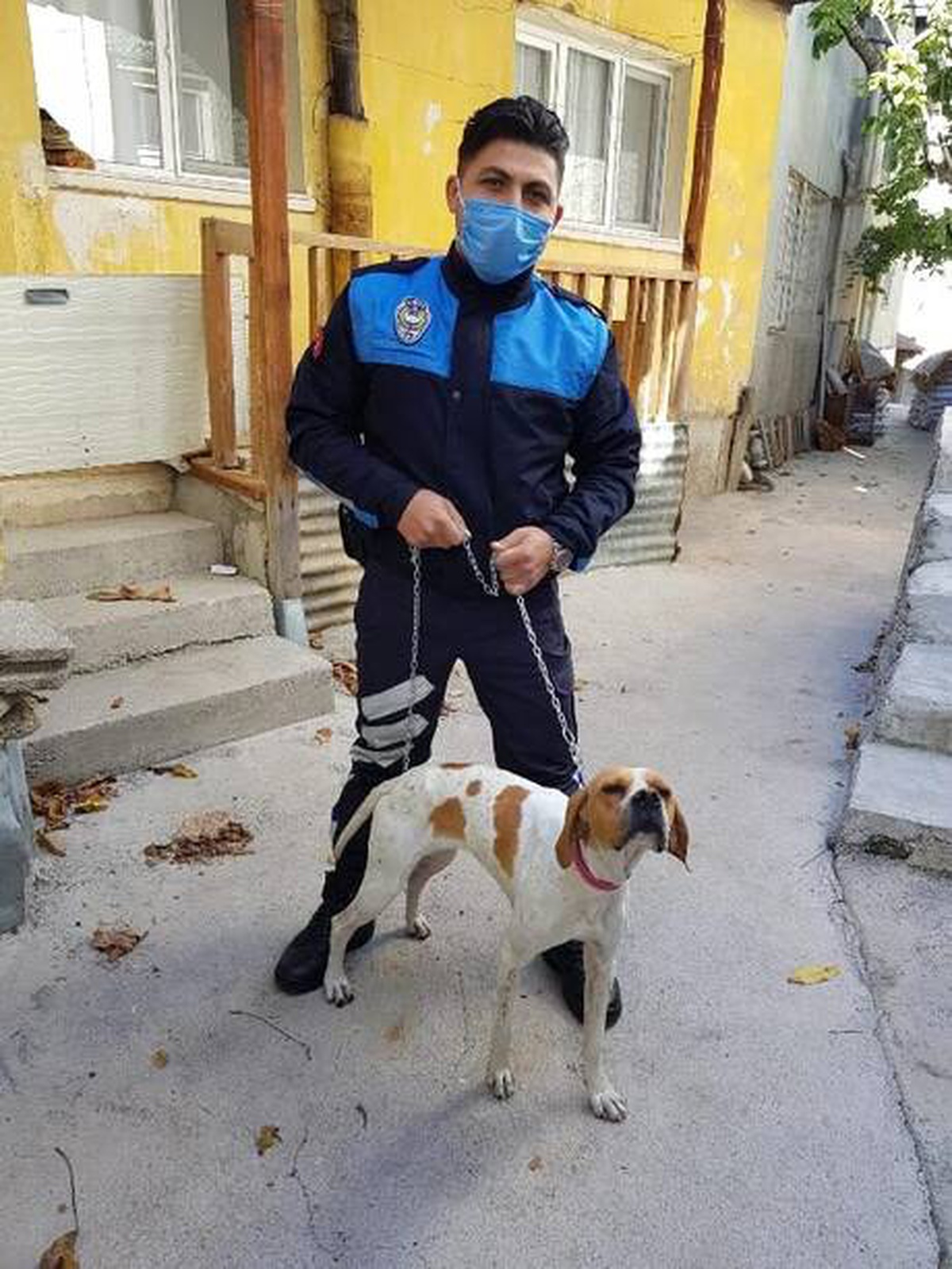 Son dakika haber | Sopayla işkence edilen köpeği zabıta görevlisi sahiplendi, saldırgana para cezası kesildi