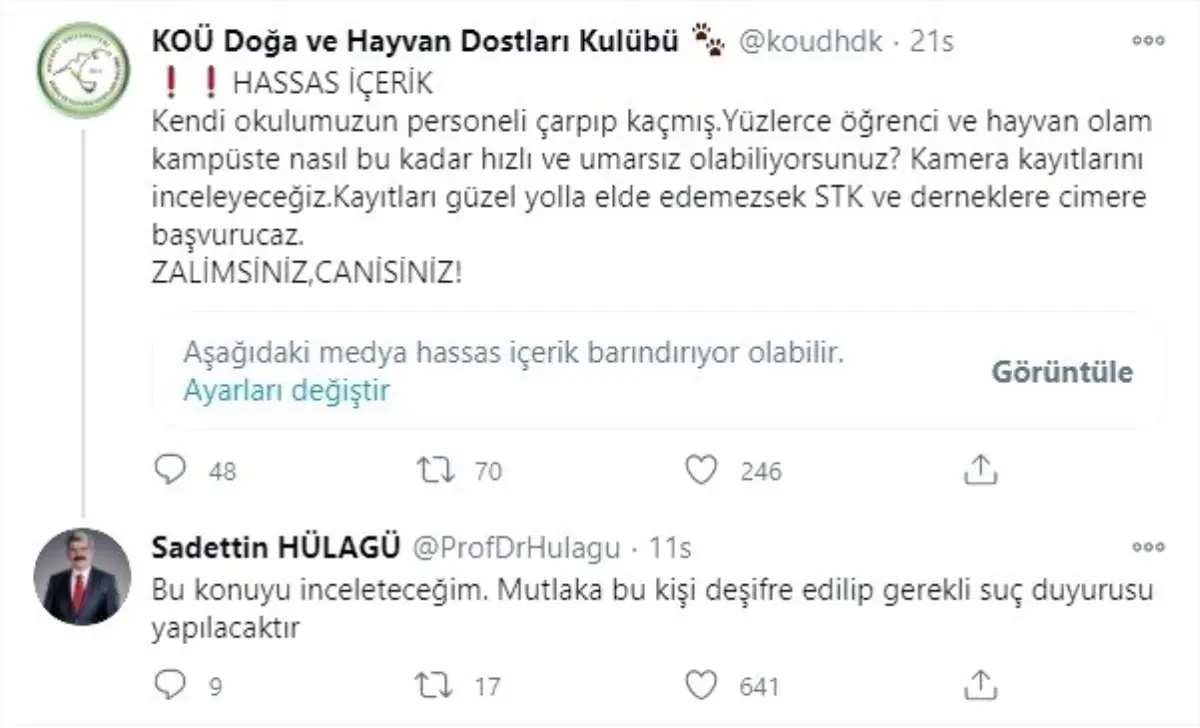 Üniversite personelinin aracıyla ezdiği iddia edilen köpeğin ölümüne öğrencilerden tepki