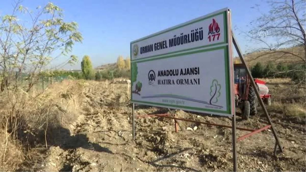 Anadolu Ajansı çalışanları, 2 bin fidanı toprakla buluşturdu