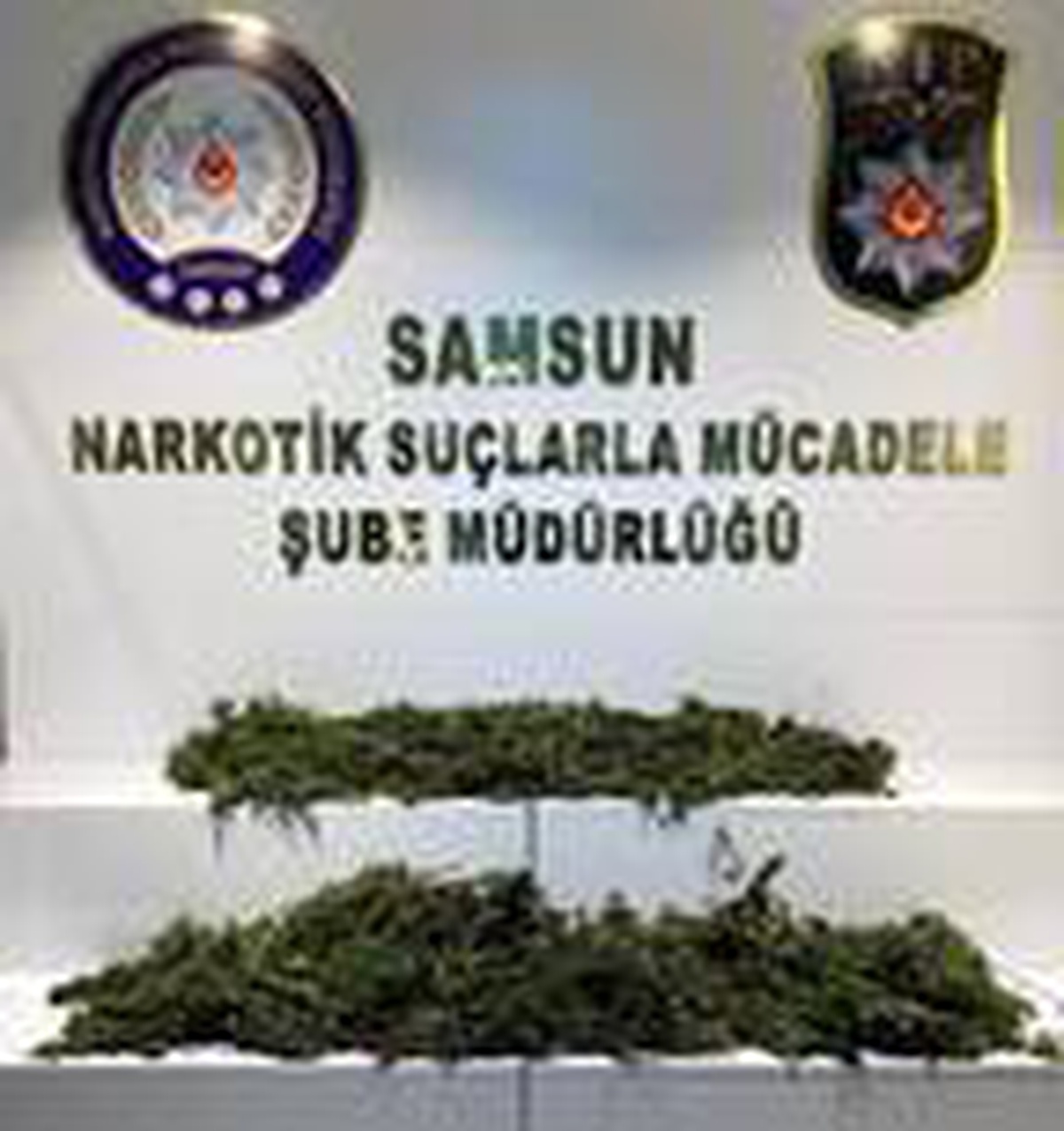 Balkonda esrar kuruturken yakalandı