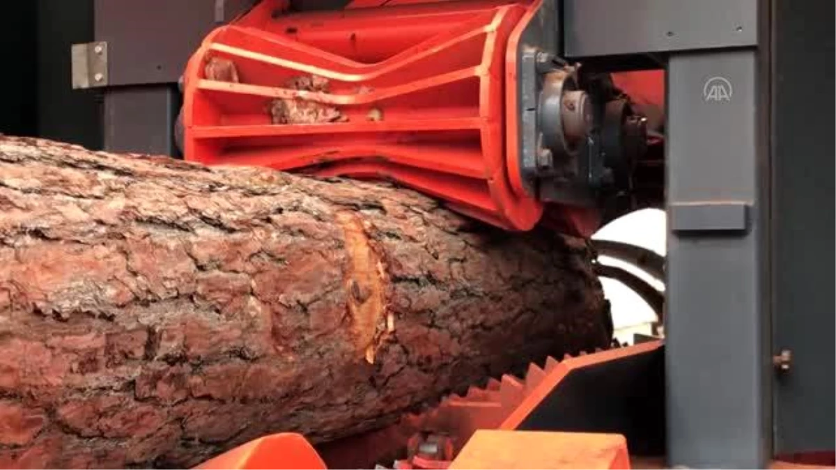 Burdurlu makine ustaları 10 orman işçisinin yapacağı işi tek makineye sığdırdı