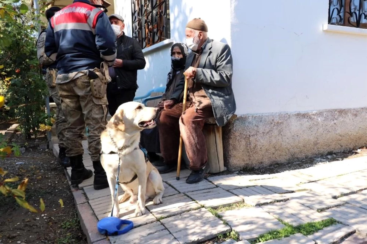 Elazığ\'da 83 yaşındaki kayıp kadını iz takip köpeği "Dost" buldu