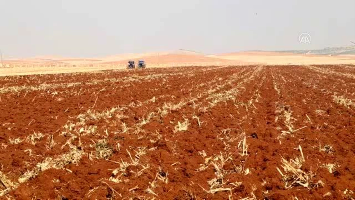 "GAP\'ın başkenti"nde geç gelen yağışlar tahıl ekim çalışmalarını hızlandırdı