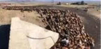 Göçerlerin zorlu yolculuğu