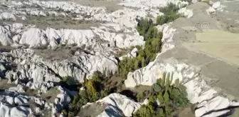 Kapadokya'nın gözbebeği Ürgüp'teki Gomeda Vadisi doğa tutkunlarını ağırlıyor