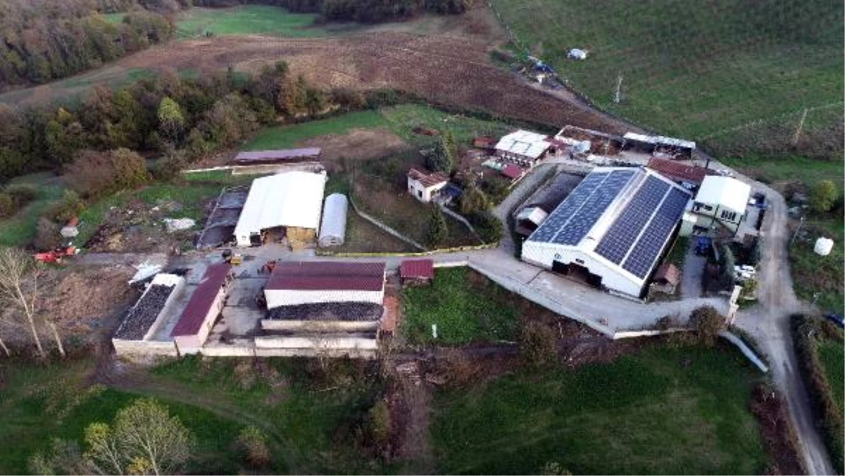 Kurduğu çiftlikle bölgenin en önemli süt üreticisi olan emekli öğretmen, şimdi de kendi enerjisini üretecek