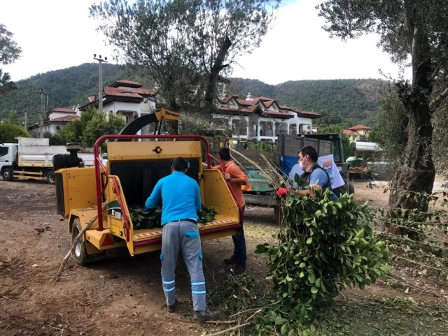 Marmaris'te bahçe atıkları doğaya kazandırılıyor