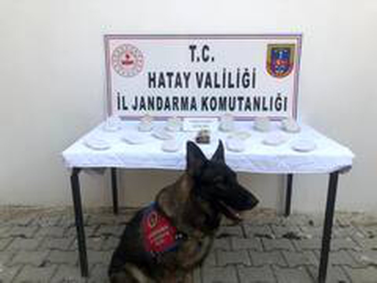 Nar ağacı altına gömülü 3 kilo esrar ele geçirildi
