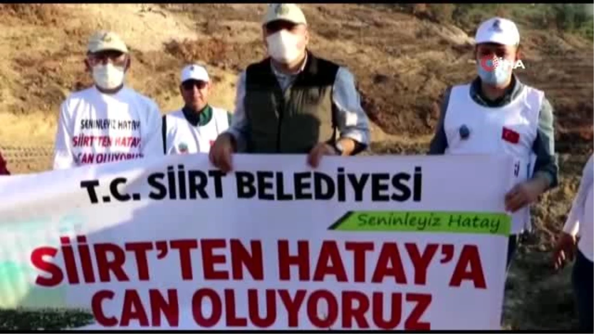 Siirt Belediyesi, Hatay\'da PKK\'nın yaktığı ormanda fidan dikti