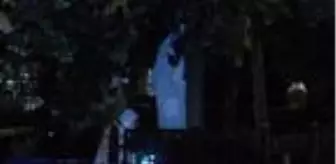 SİRKECİ'DE AĞACA ASILI ERKEK CESEDİ BULUNDU