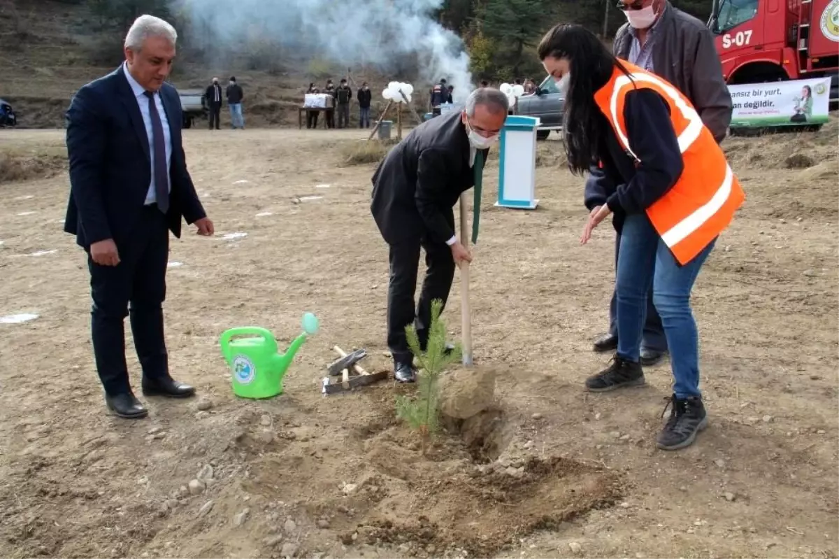 Tosya\'da bin adet fidan toprakla buluştu