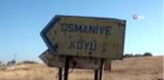 Yozgat'ta vurulduğu iddia edilen yakalı toy kuşunun ölüsü bulunamadı
