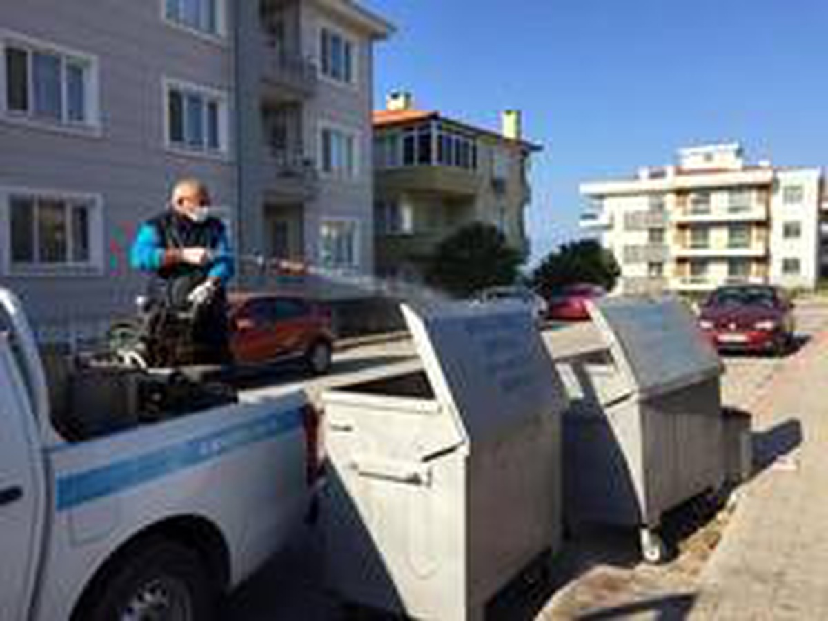 Ayvalık\'ta çam ağaçları ve çöp konteynerleri ilaçlandı