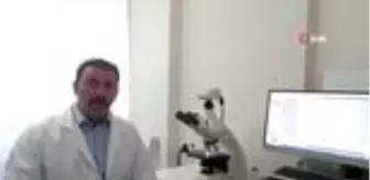 Kuşadası'nda keşfedilen mantara 'Türkiye' adı verildi