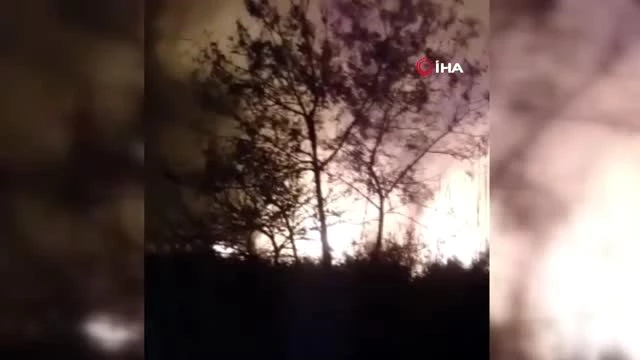 Son dakika haberleri: Muğla'da sazlık alanlarda yangın