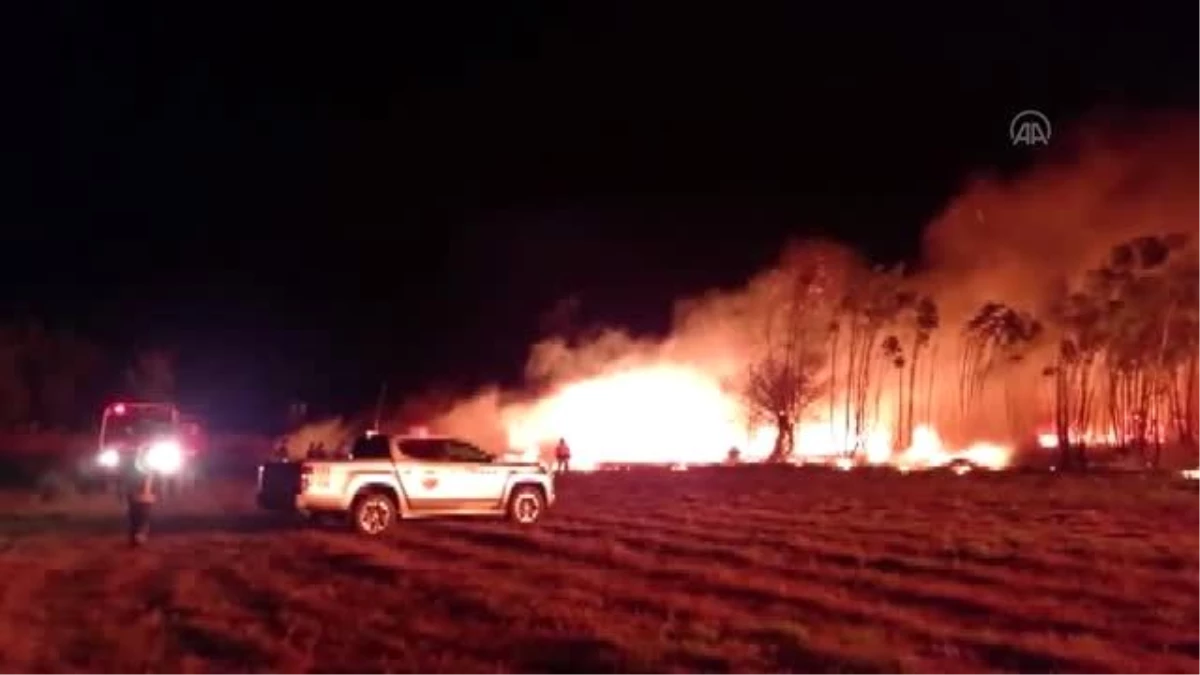 Son dakika haberi | Sakin Kent Akyaka\'da sazlık alanda yangın (2)