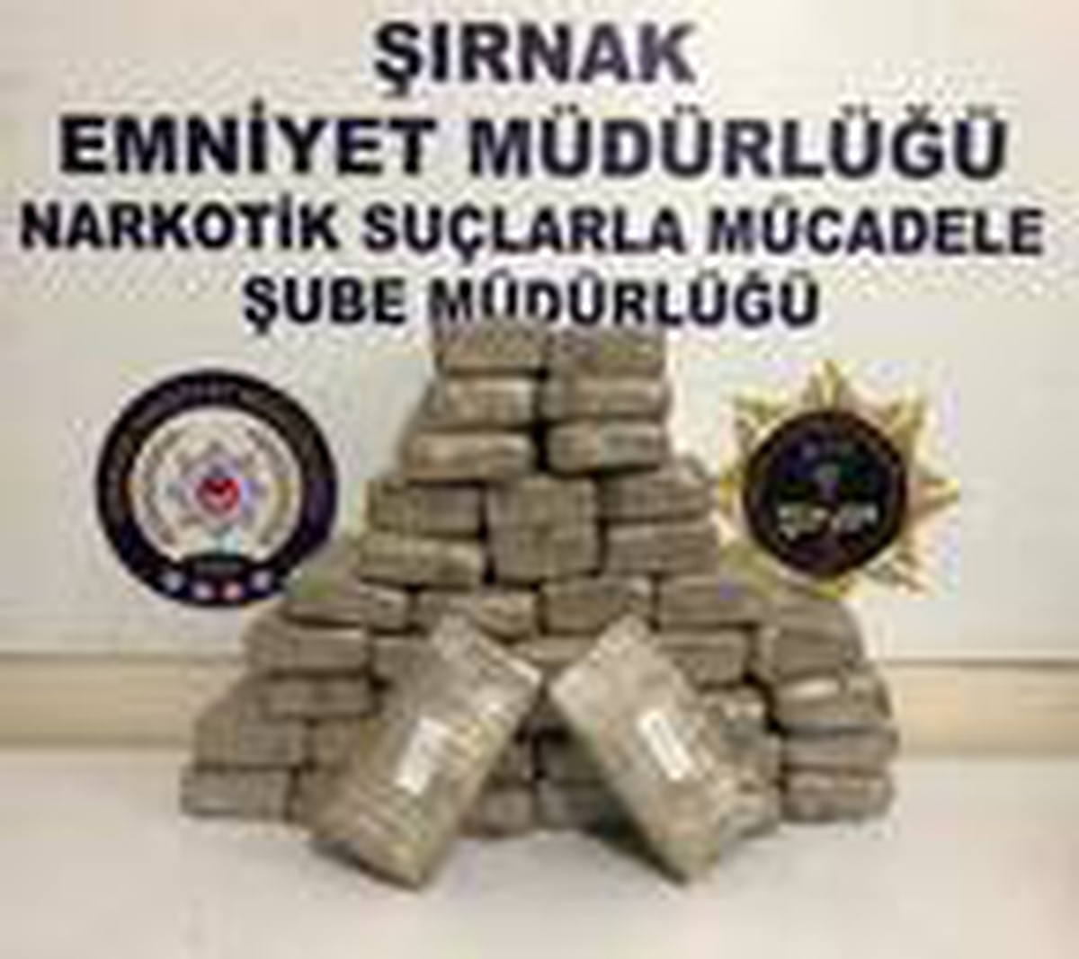 Şırnak\'ta, TIR\'da 20 kilo eroin bulundu
