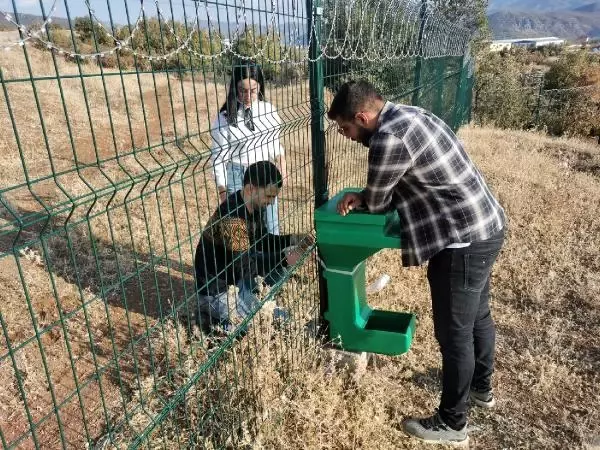Tuncelili gençlerin sokak hayvanları için 'iyilik' mesaisi Tuncelili gençlerin sokak hayvanları için 'iyilik' mesaisi