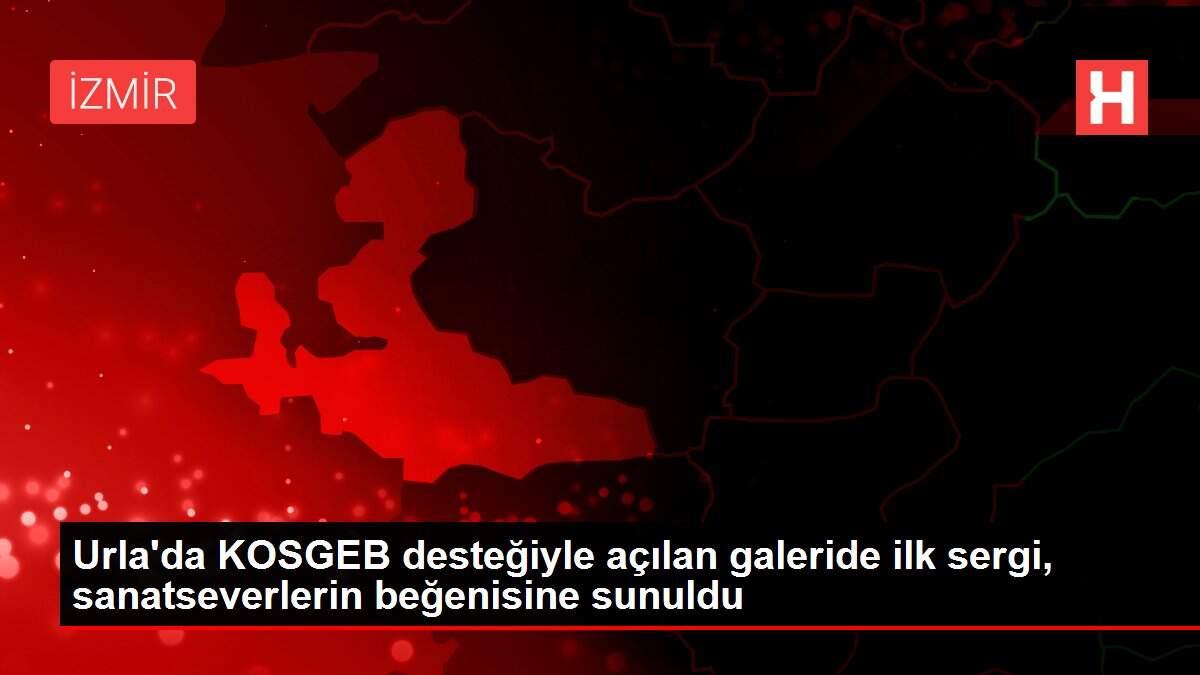 Urla'da KOSGEB desteğiyle açılan galeride ilk sergi, sanatseverlerin beğenisine sunuldu