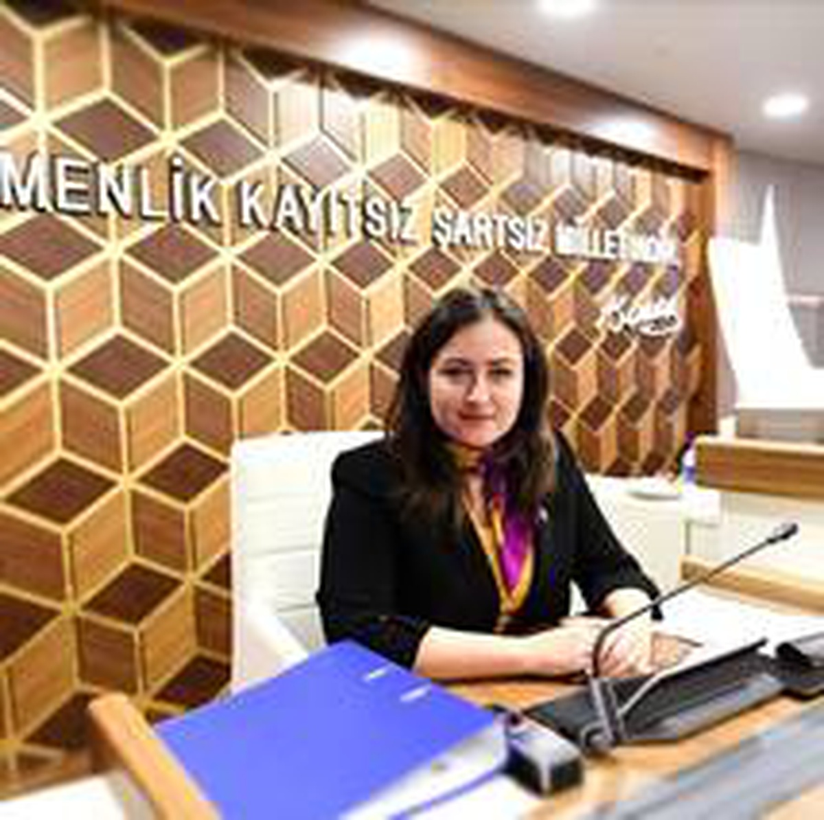 CHP Meclis üyesi Özdemir\'den yeni açıklama