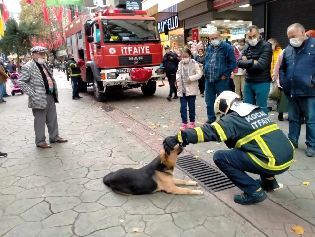 Merak konusu olan sokak köpeği itfaiye ekiplerini de harekete geçirdi