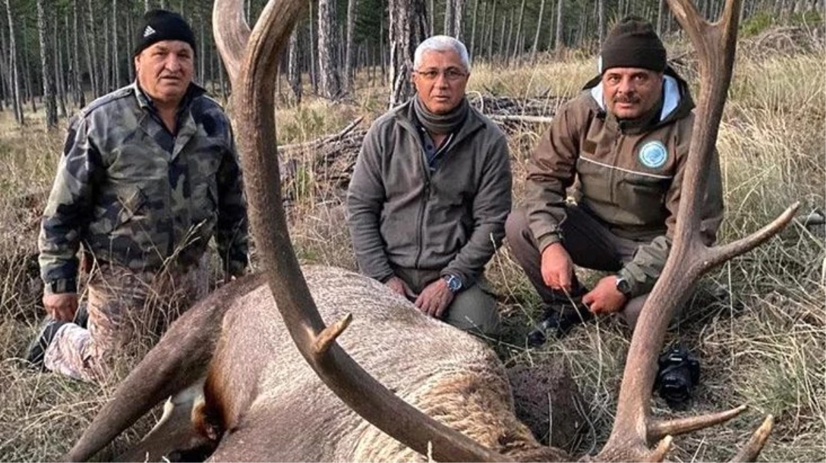 MHP\'li eski Belediye Başkanı Mehmet Kula\'nın kızıl geyik avı tepki çekti