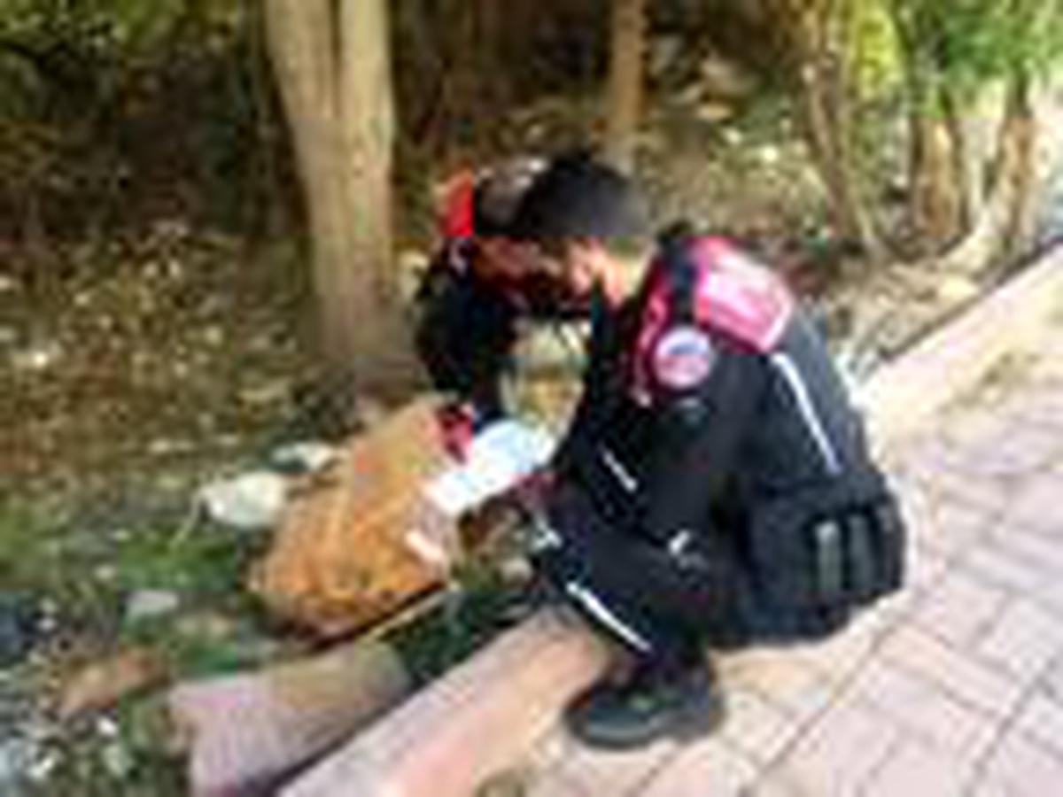 Son dakika: Bebek cesedi sanılan çarşafın içindeki kedi ölüsüymüş