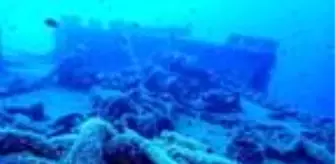 Hayalet ağlardan temizlenen Saint Didier batığı, balıklara yuva oldu