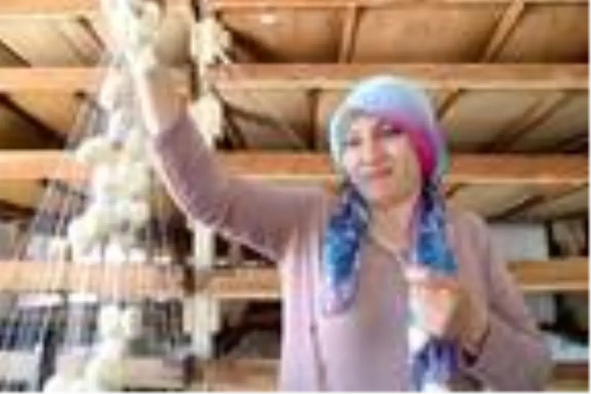 İpek böceğinin 45 günlük öyküsü görüntülendi