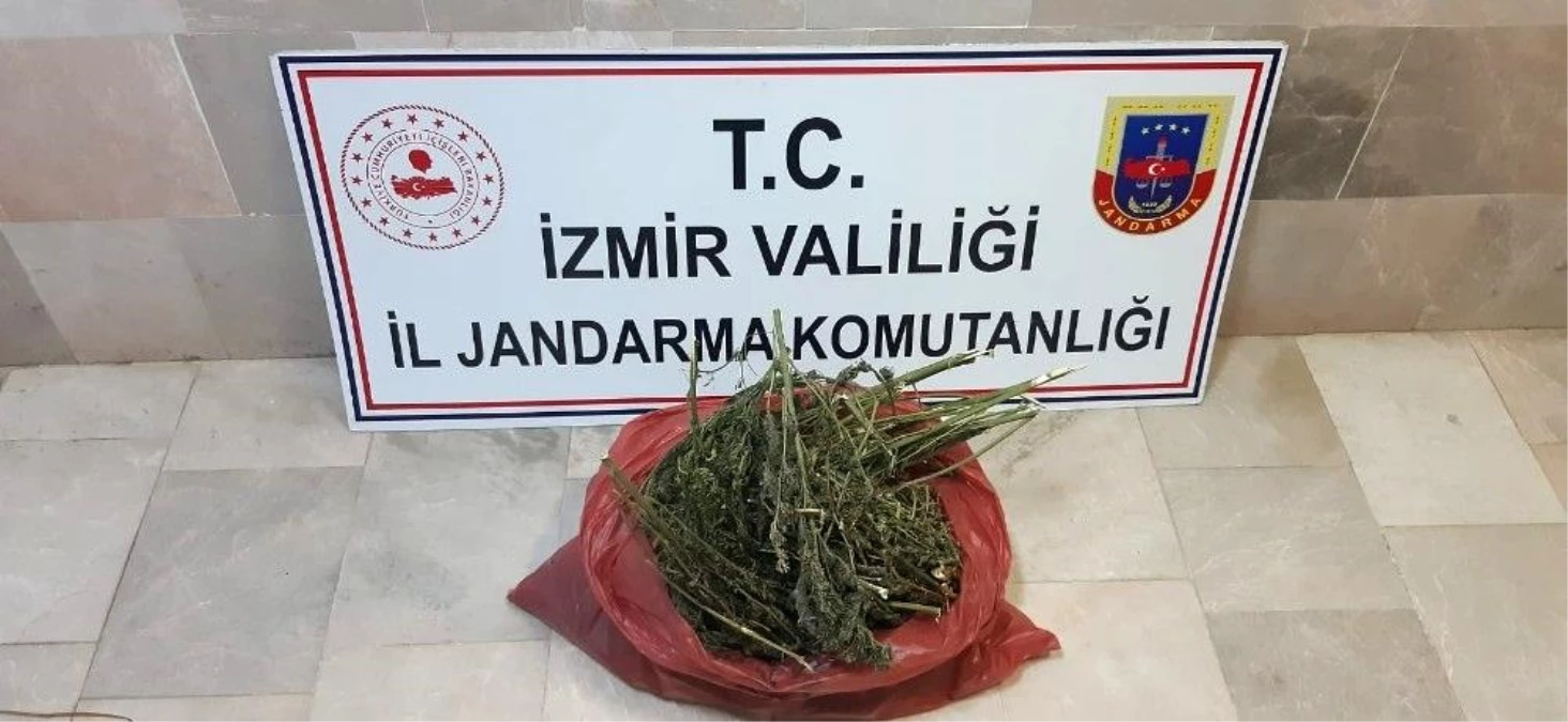 İzmir\'de uyuşturucu operasyonu: 2 gözaltı