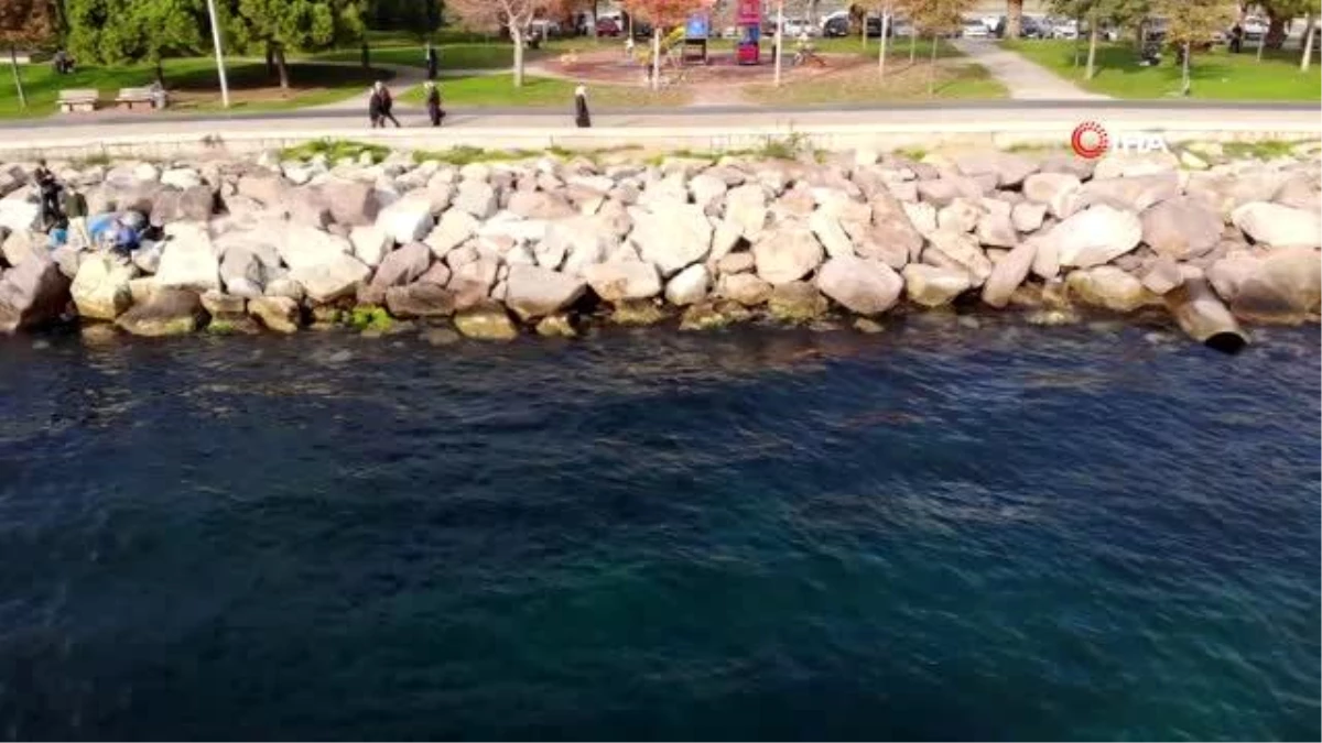 Kadıköy\'de deniz sularının çekilmesi paniğe neden olmuştu, suların gelgitten çekildiği ortaya çıktı